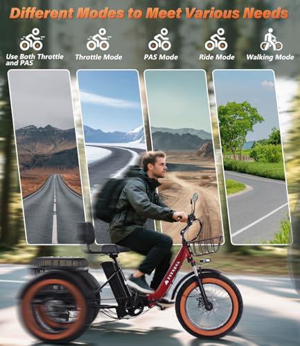 Adult Electric Tricycle 3 Wheel Bike Q8526