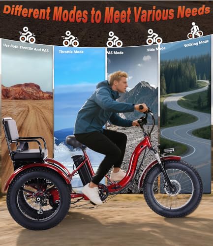 Adult Electric Tricycle 3 Wheel Bike Q8526