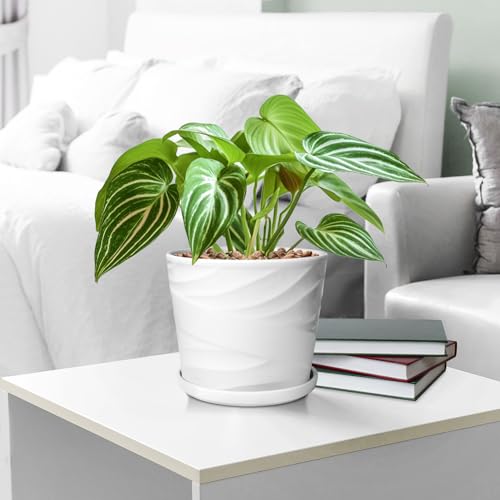 Ceramic Plant Pot with Saucer for Indoor Plants, 8 Inch, Gray White N8103