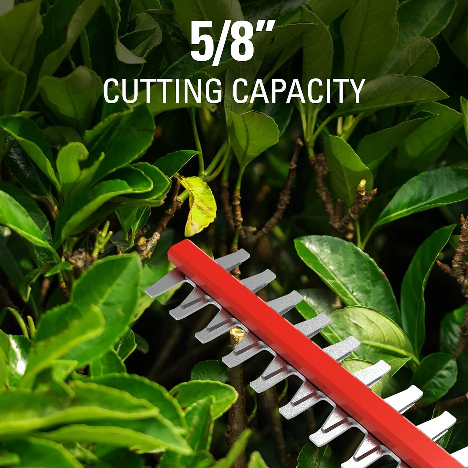 Cordless Pole Hedge Trimmer with Battery and Charger S69751