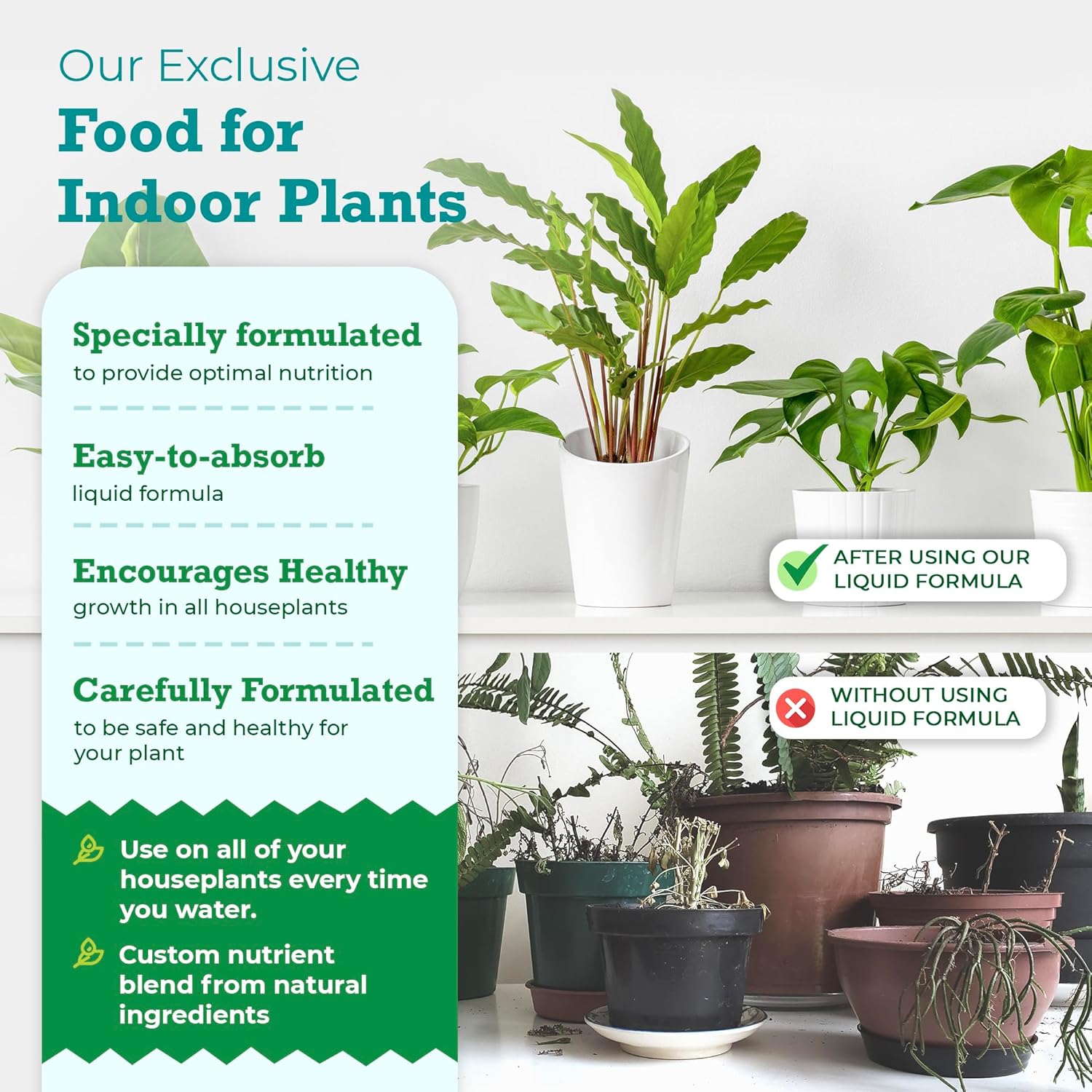 Organic Liquid Fertilizer for Indoor Plants, 8 oz Q197