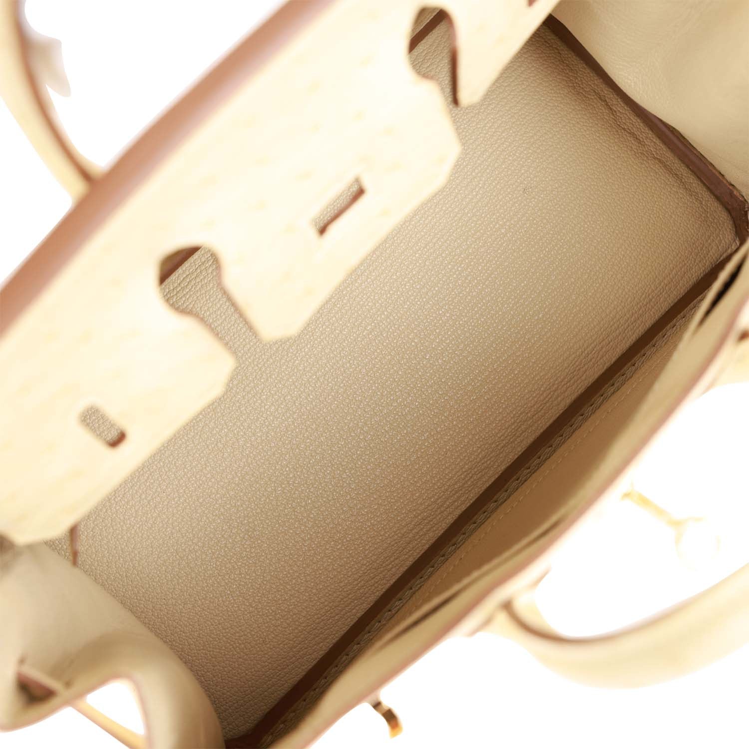 Ostrich Leather Handbag with Gold Hardware W129433