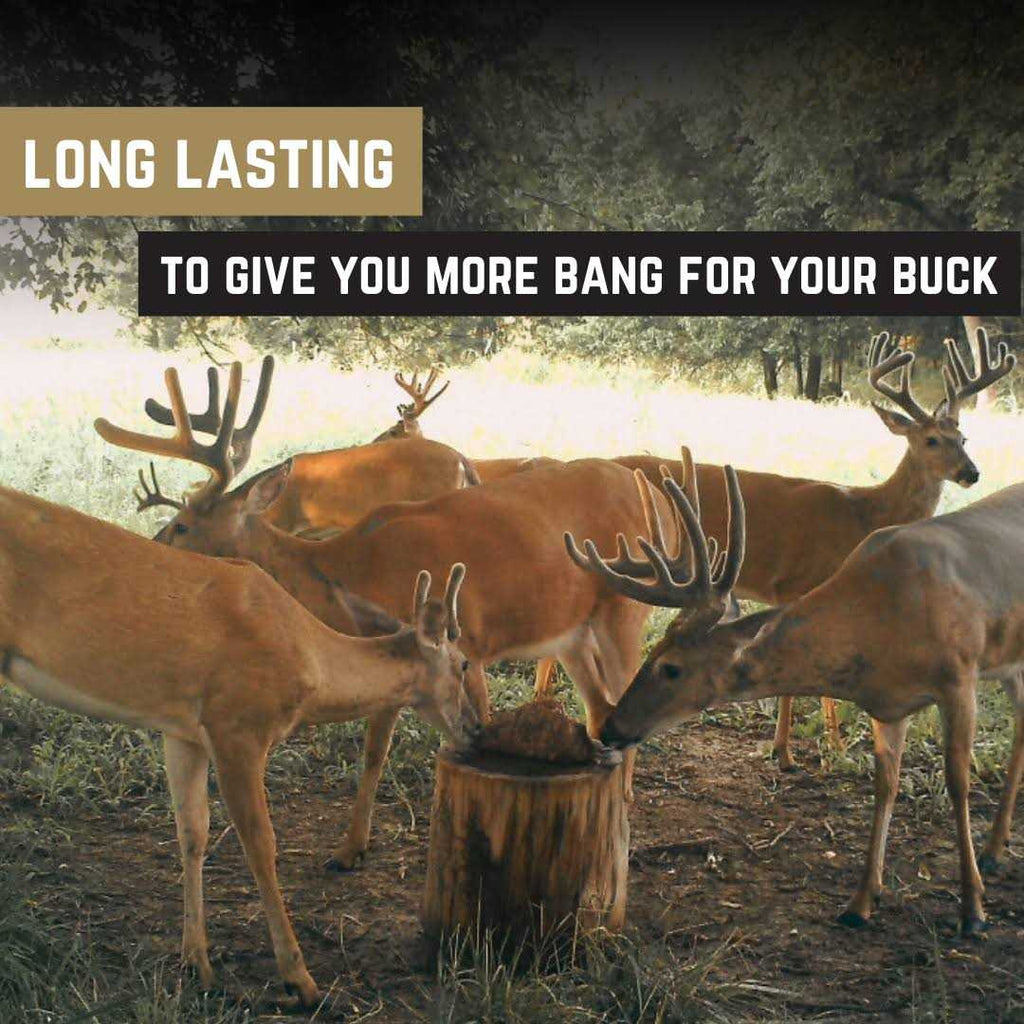 Mineral Lick for Livestock K643