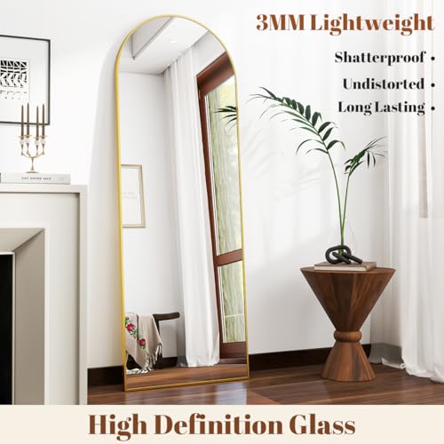 Arch Mirror Full Length 21x64 Floor Mirror with Stand, Aluminum Frame, Black U7175