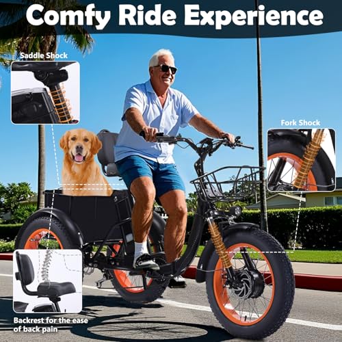 Adult Electric Tricycle 3 Wheel Bike Q8526
