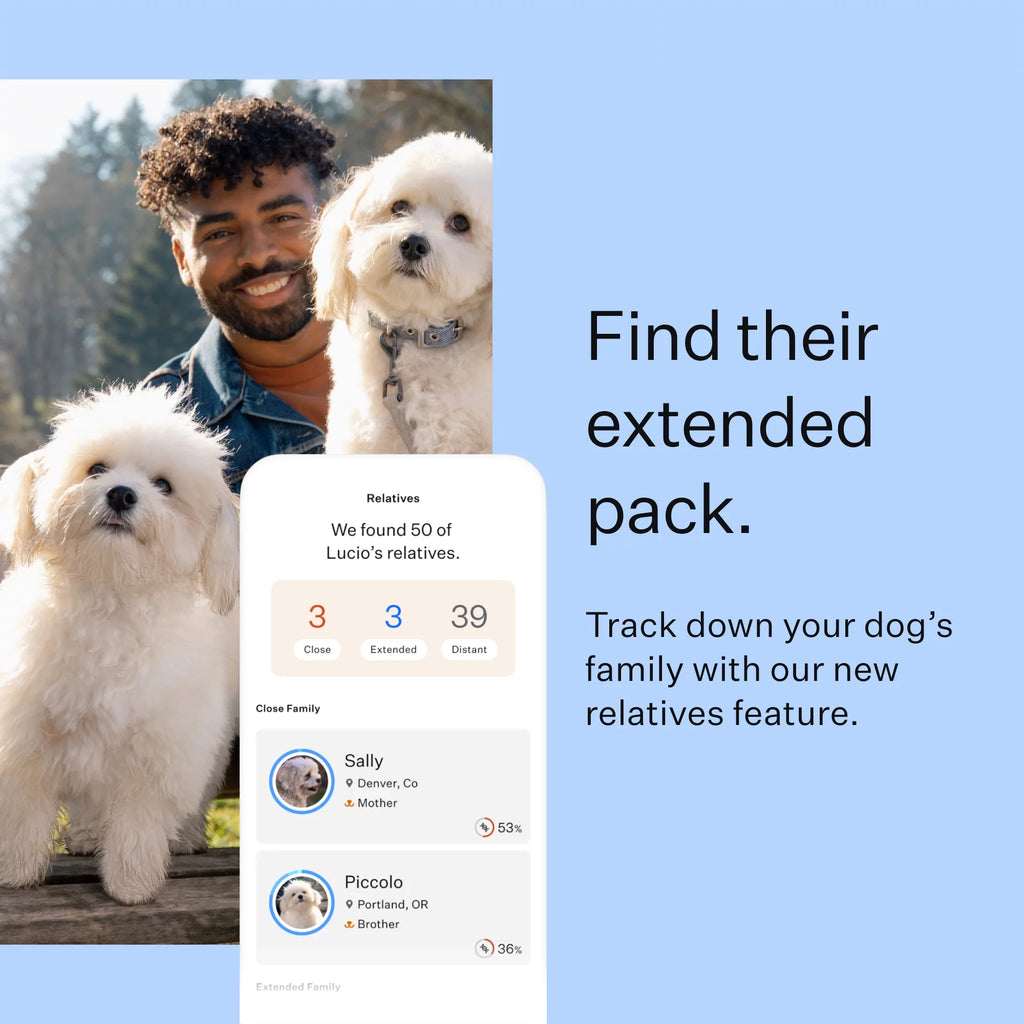 Dog DNA Test Kit for Breed Discovery N74730