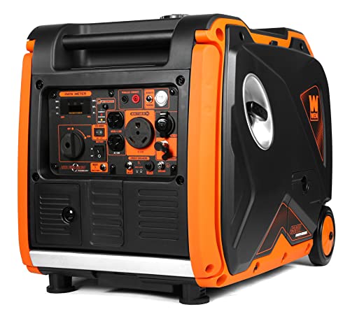 6800-Watt Dual Fuel Portable Inverter Generator with Electric Start W5913