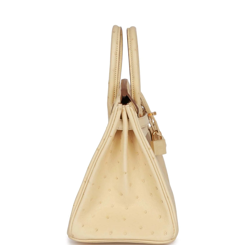 Ostrich Leather Handbag with Gold Hardware W129433