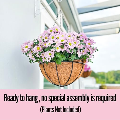 Hanging Baskets for Plants - 3 Pack, 10 Inch, Outdoor Planter with Coco Liner E591