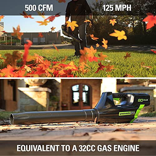 80V Cordless Brushless String Trimmer and Leaf Blower Combo with Battery and Charger A2707