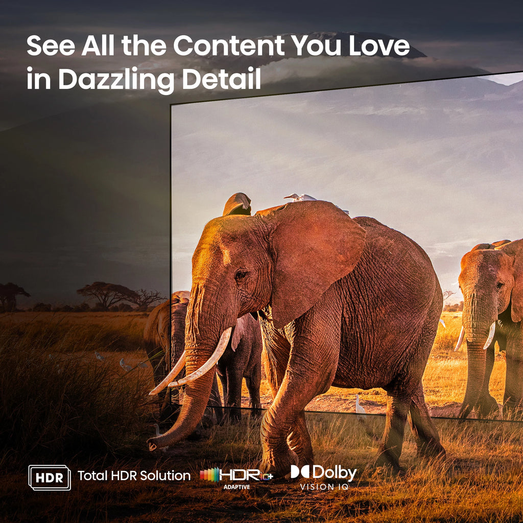 55-Inch Mini-LED QLED Smart TV with Dolby Vision IQ and Atmos R5825