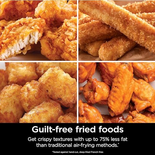 Air Fryer 4-in-1 with 5 QT Capacity, Nonstick Basket & Crisper Plate V1873