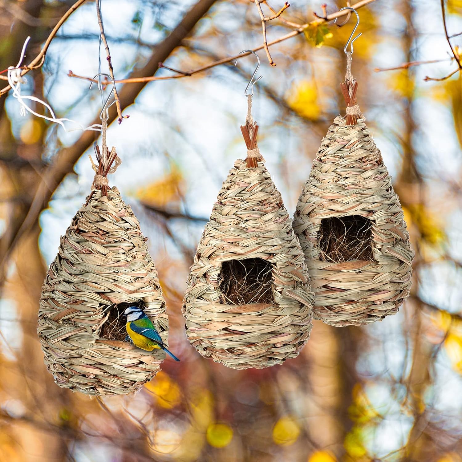 Hummingbird Nest House for Outside Hanging with Coconut Fiber A13704