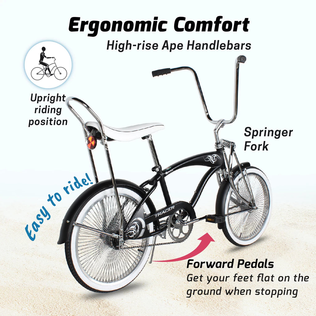 Classic Beach Cruiser Bike, 20 Inch Wheels, Coaster Brakes C4278