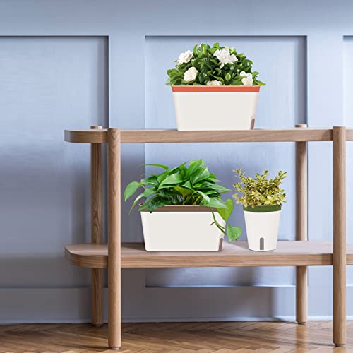 Self Watering Planter Pots Window Box for Indoor Plants, Set of 6 O22430