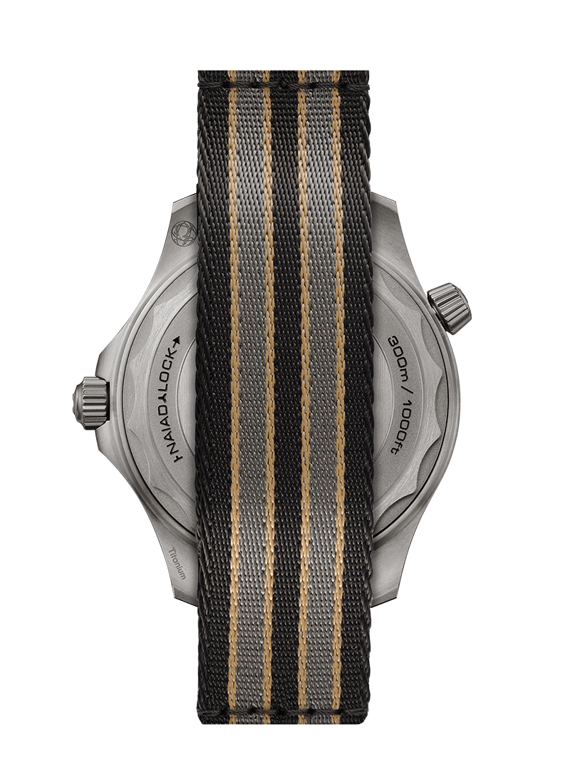 Diver 300m 42mm Watch Q304