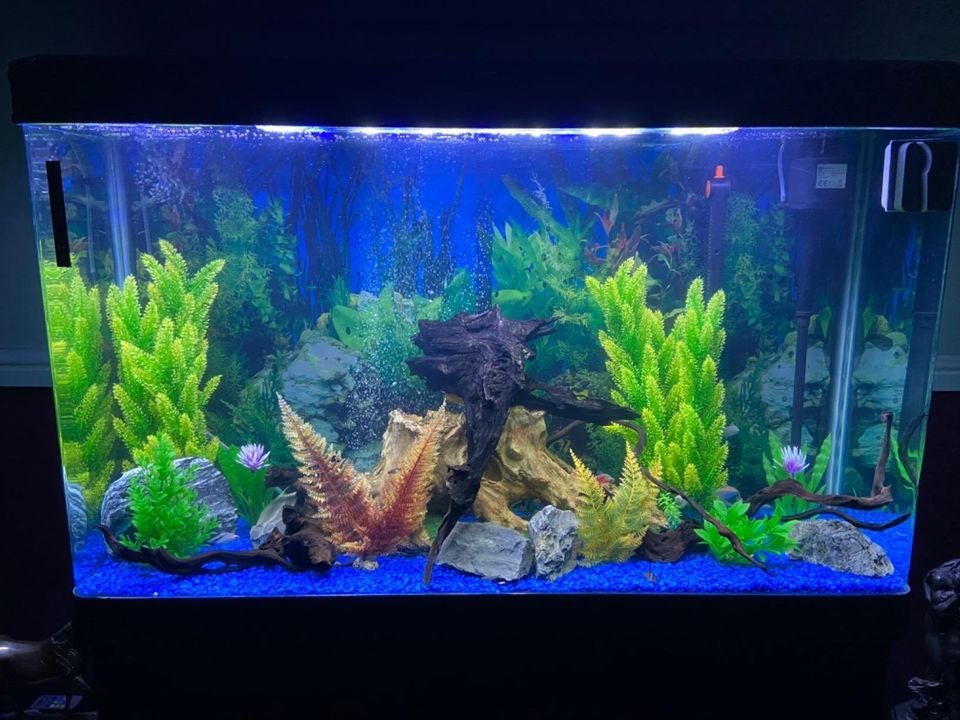 4ft 300L Large Aquarium P5330