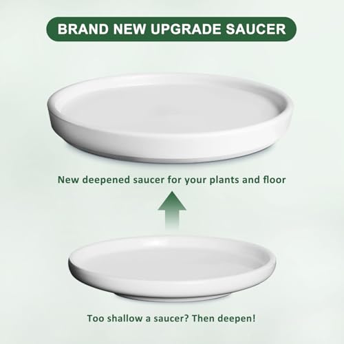 Ceramic Plant Pot with Saucer for Indoor Plants, 8 Inch, Gray White N8103