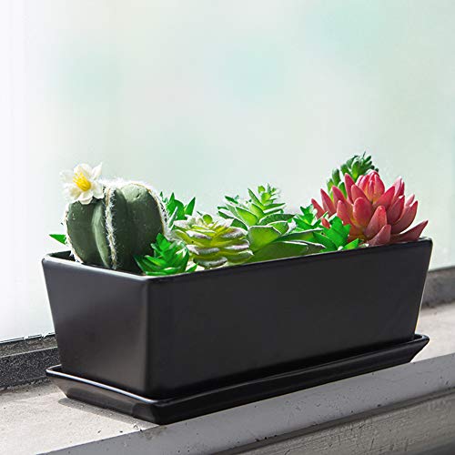 10 Inch White Ceramic Succulent Planter with Removable Saucer C418