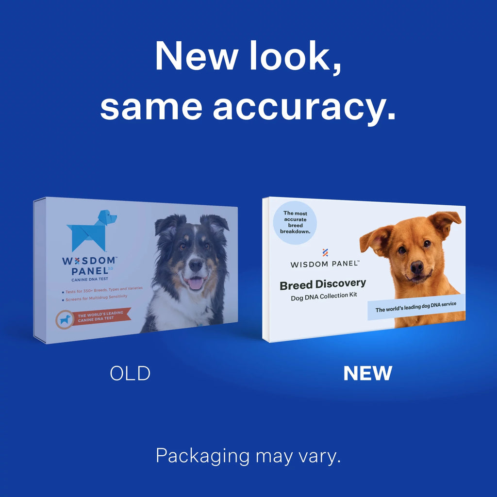 Dog DNA Test Kit for Breed Discovery N74730