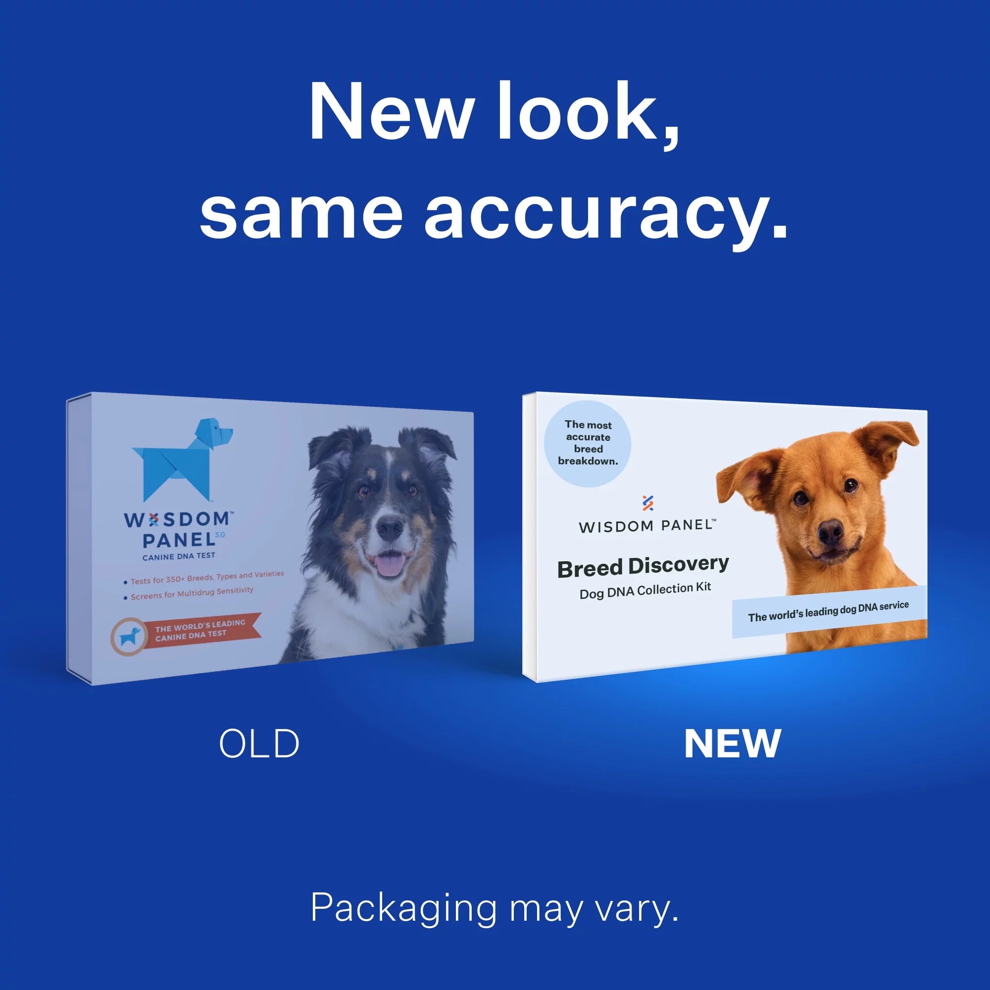 Dog DNA Test Kit for Breed Discovery N74730