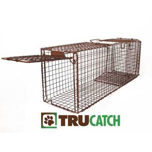 Humane Live Animal Trap for Cats, Easy Catch & Release G2403
