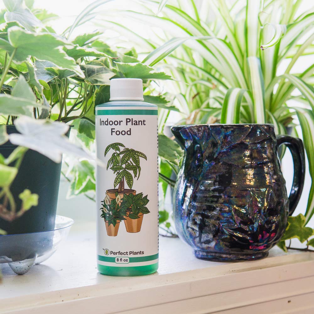 Liquid Indoor Plant Food, All-Purpose Fertilizer for Houseplants G7570