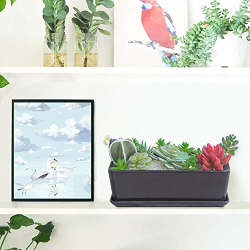 10 Inch White Ceramic Succulent Planter with Removable Saucer C418
