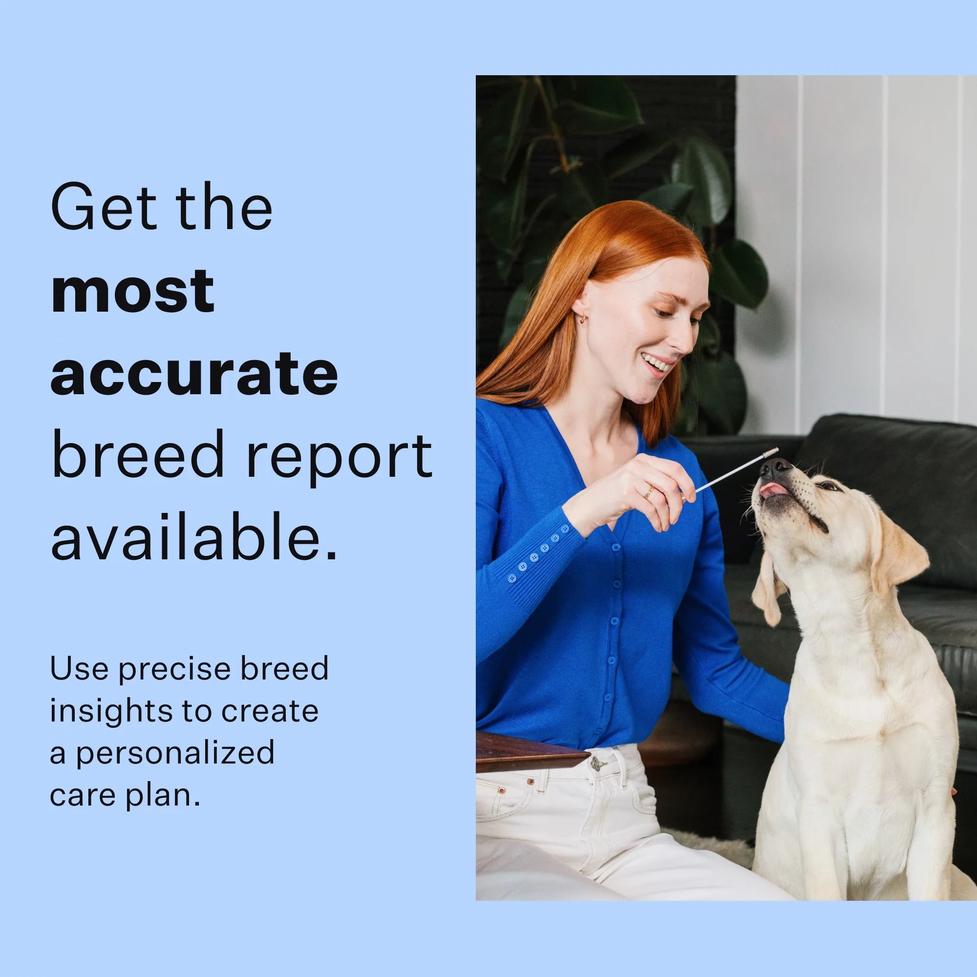 Dog DNA Test Kit for Breed Discovery N74730