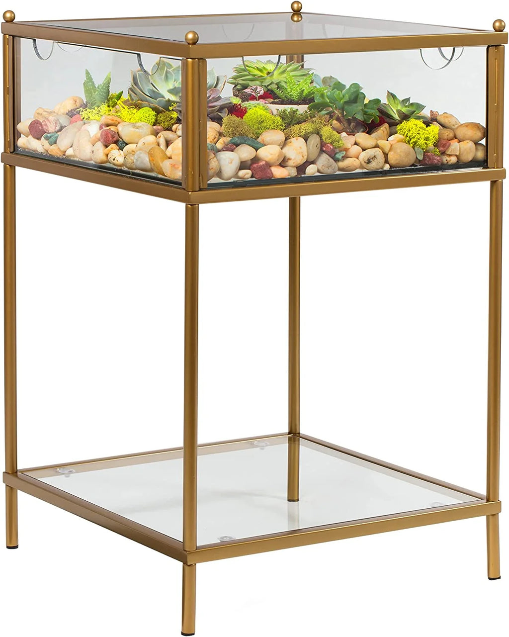 Square Terrarium Glass End Table, 18x18x27 Q436914