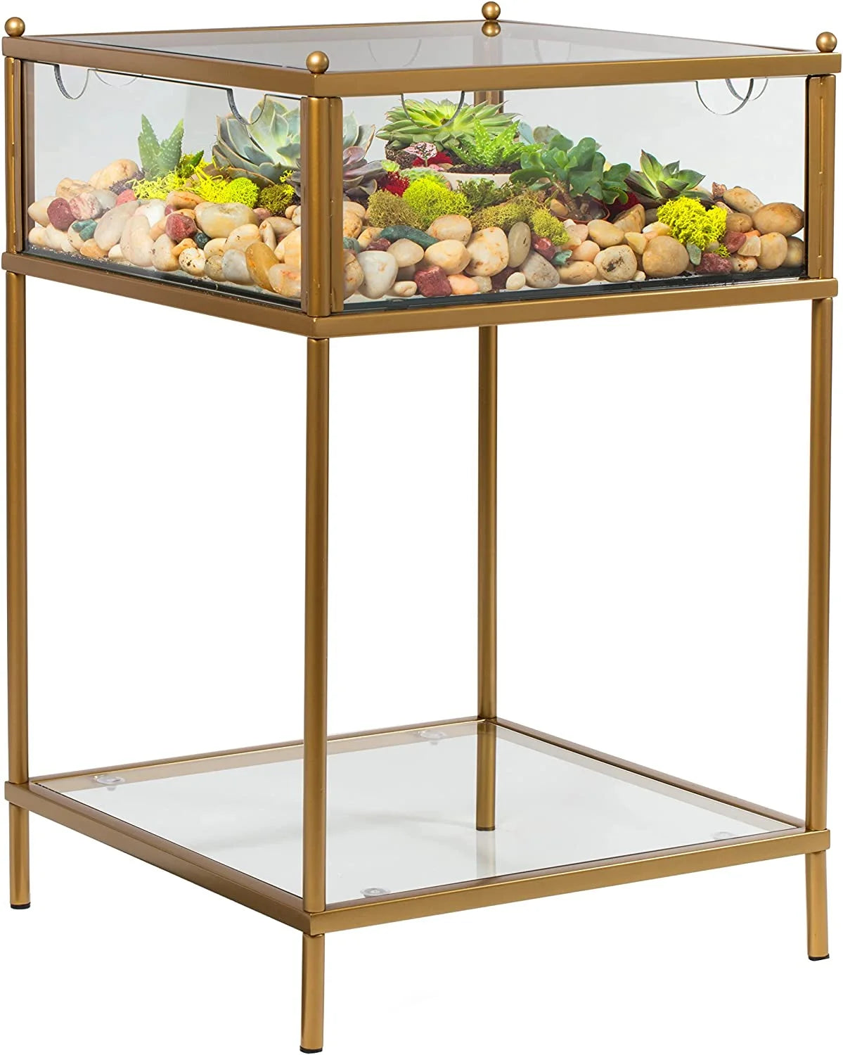 Square Terrarium Glass End Table, 18x18x27 Q436914