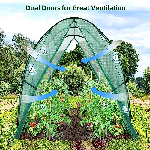 Portable Tunnel Greenhouse Outdoor with Mesh Windows, 5.9x5.9x6.6 FT K5003