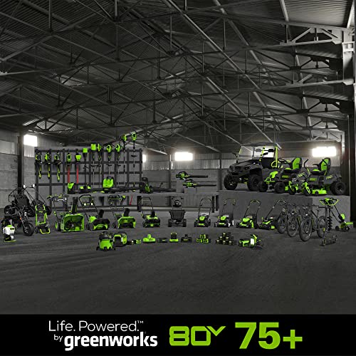 80V Cordless Brushless String Trimmer and Leaf Blower Combo with Battery and Charger A2707