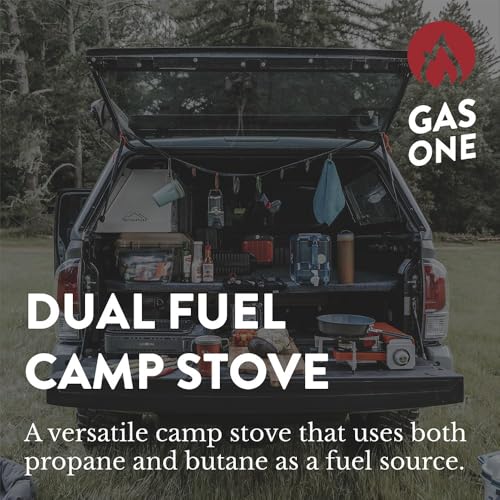 Propane or Butane Dual Fuel Portable Camping Stove with Carrying Case N959655