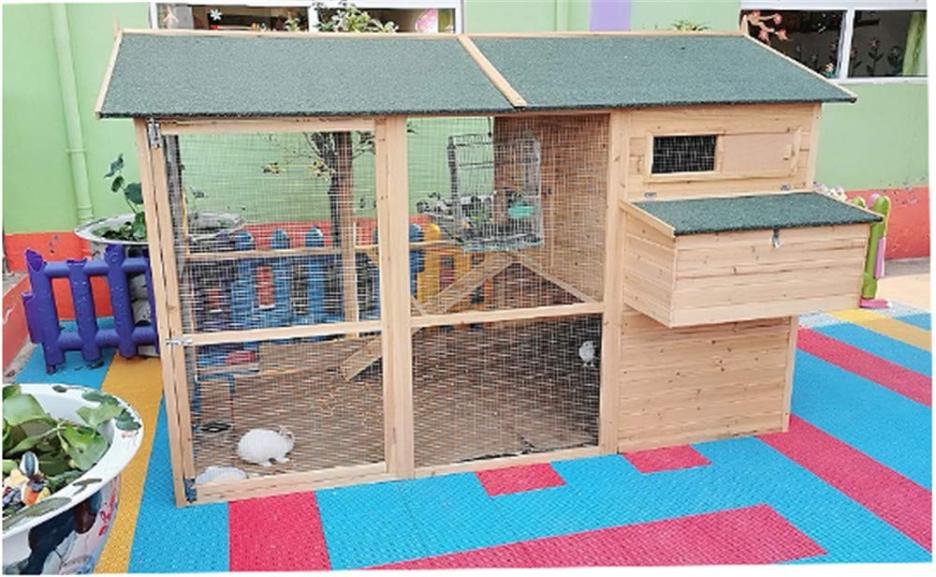 Green waterproof cedar chicken coop B92877