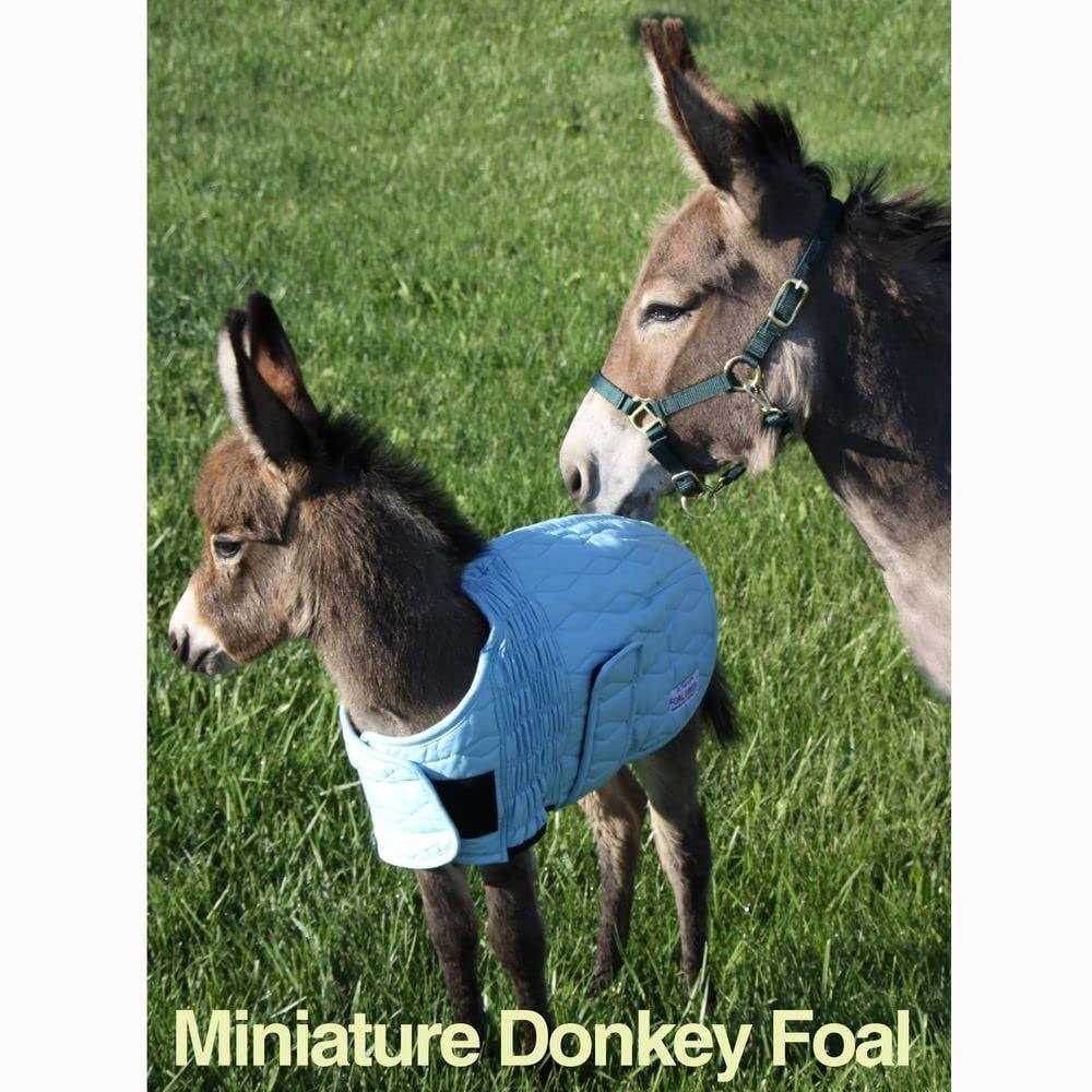 Lightweight Foal Saver L3691