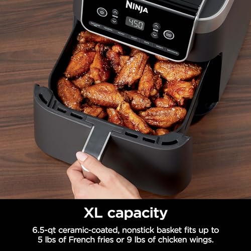 Air Fryer 4-in-1 with 5 QT Capacity, Nonstick Basket & Crisper Plate V1873