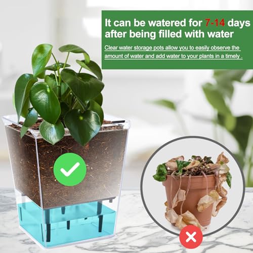 Self Watering Pots for Indoor Plants, 3 Pack with Deep Reservoir C2290
