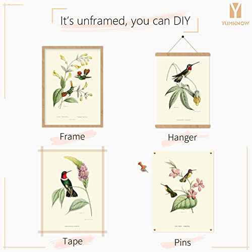 Bird Wall Art Hummingbird Botanical Flower Poster M427