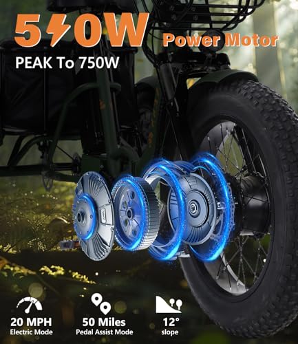 Adult Electric Tricycle 3 Wheel Bike Q8526