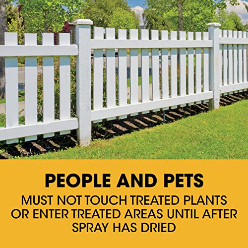Poison Ivy Plus Tough Brush Killer for Weeds, Grass, Stumps and Vines, Comfort Wand, 1.33 gal. D4511