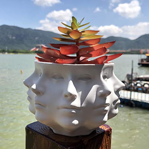 Small Face Succulent Planter Pot for Indoor Decor K417476