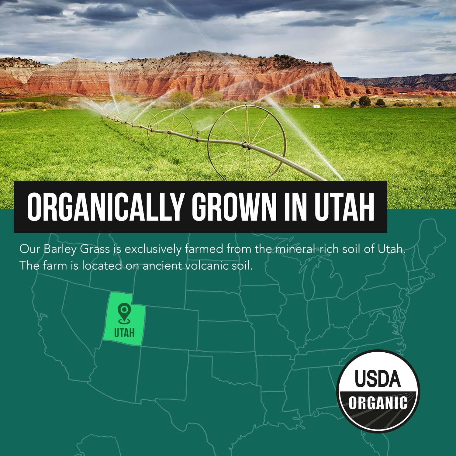 Organic Barley Grass Juice Powder, Cold-Pressed, Gluten Free, Vegan, 5.3 oz U961