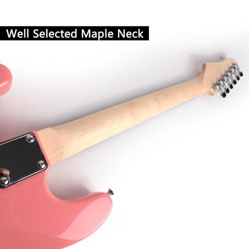 Electric Guitar 39 Inch Maple Neck Rosewood Fretboard with Gig Bag G50227