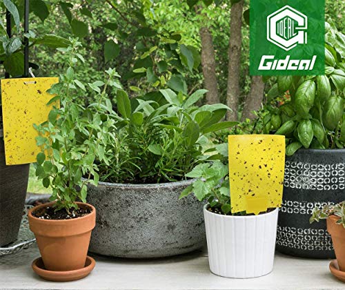 Dual-Sided Yellow Sticky Traps for Flying Plant Insects, 6x8 Inches, 30 Pack H20783
