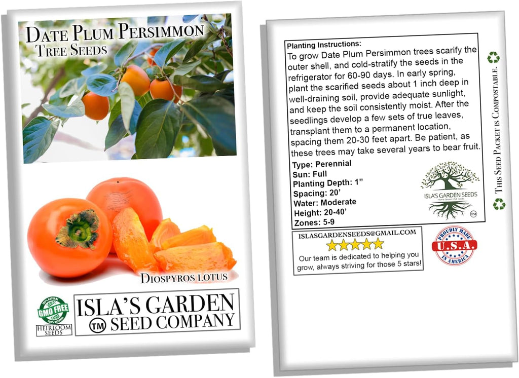 Date Plum Persimmon Fruit Tree Seeds, 30+ Seeds, Non GMO Heirloom V9650