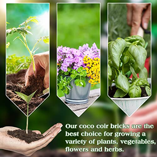 Organic Coconut Coir Brick Compressed Potting Soil for Plants Flowers Reptiles X914