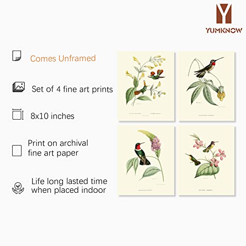 Bird Wall Art Hummingbird Botanical Flower Poster M427