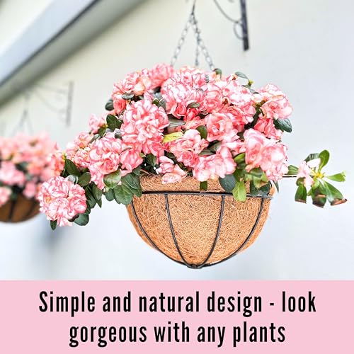 Hanging Baskets for Plants - 3 Pack, 10 Inch, Outdoor Planter with Coco Liner E591