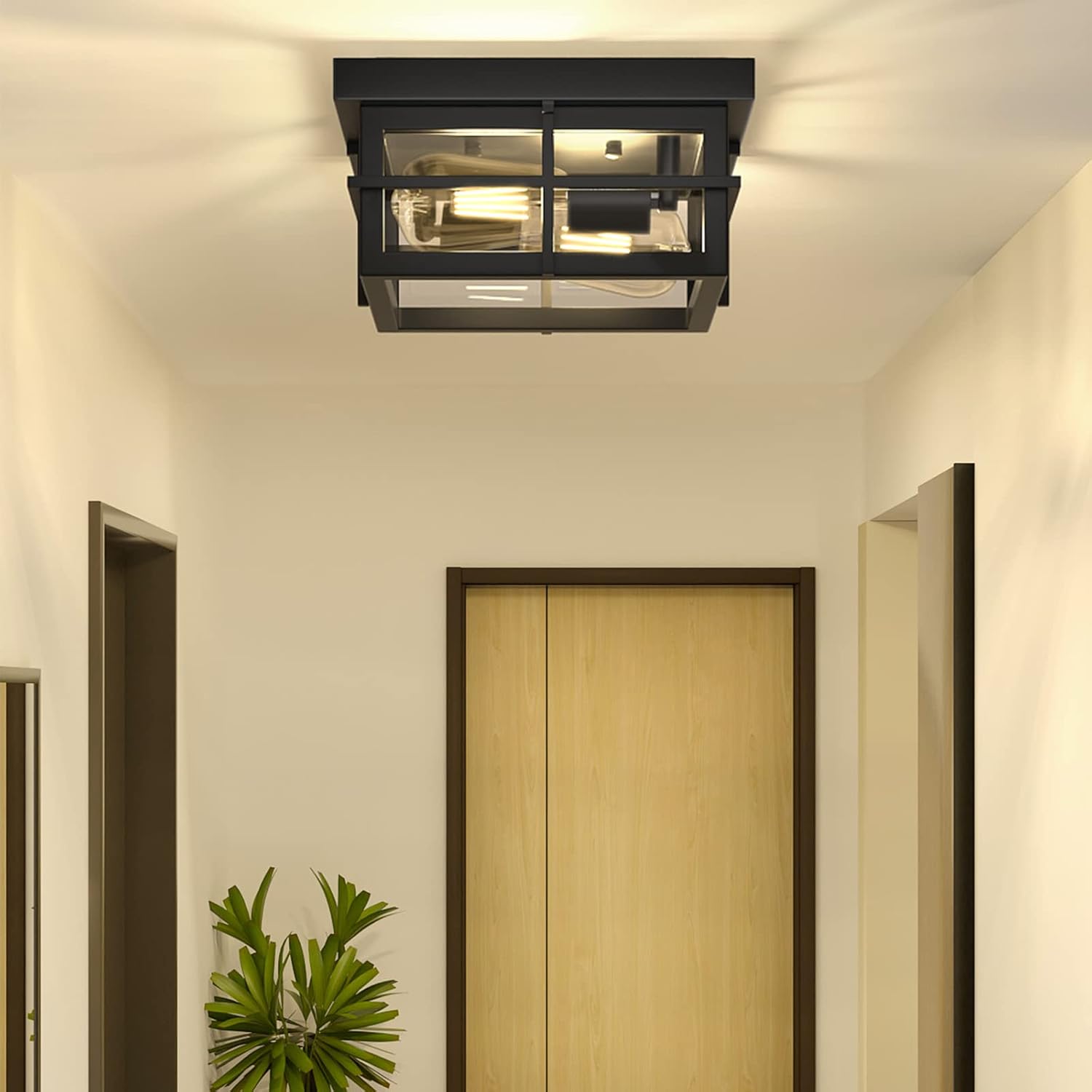 Modern Outdoor Ceiling Light Fixtures, 2-Light Black Flush Mount with Clear Glass Shade C16423